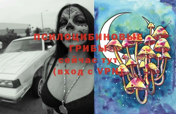 трава Горнозаводск