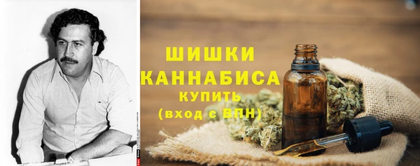 a pvp Гусь-Хрустальный