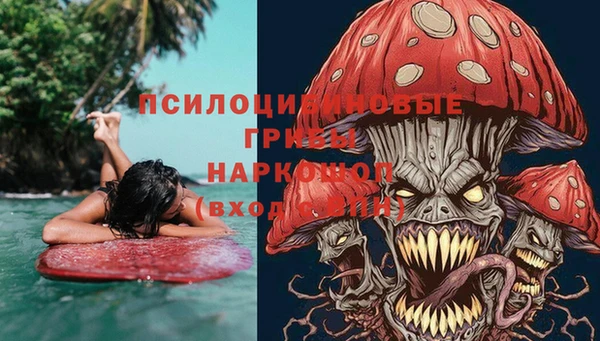 эйфоретик Гусиноозёрск