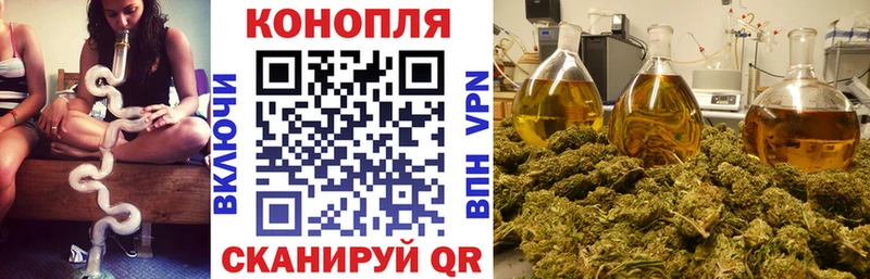 Бошки марихуана Bruce Banner  ОМГ ОМГ сайт  Михайловск 